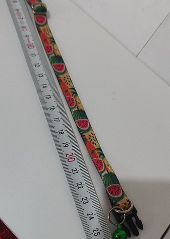 Kedi Tasması ve Zil - Görsel 3