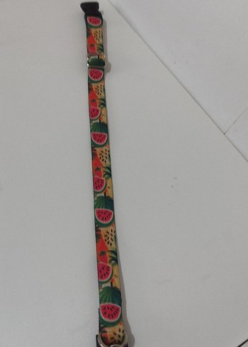 Kedi Tasması ve Zil - Görsel 2