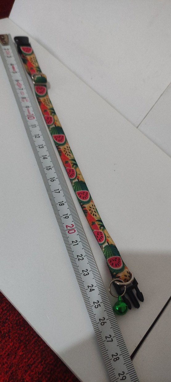 Kedi Tasması ve Zil - Görsel 3