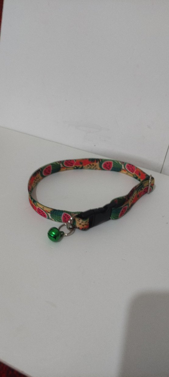 Kedi Tasması ve Zil - Görsel 4