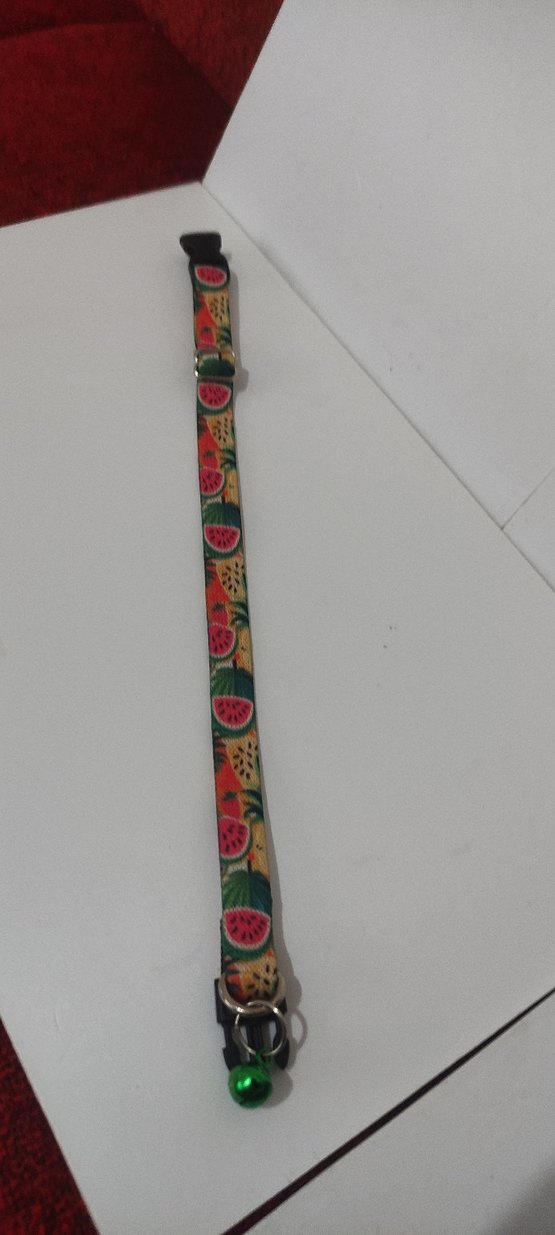 Kedi Tasması ve Zil - Görsel 2