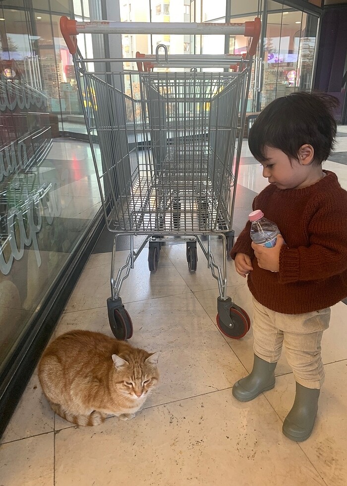 İgor yağmur çizmesi - Görsel 2