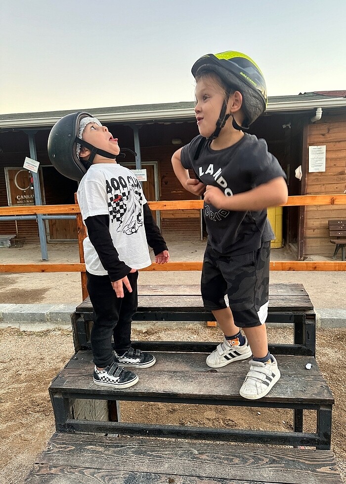 Ayaklabı - Görsel 4