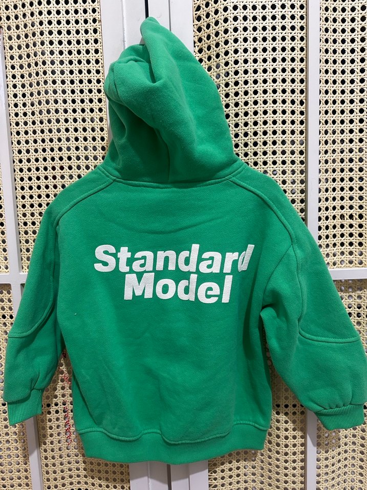 Erkek Çocuk Kapüşonlu Yeşil Sweatshirt - Görsel 2