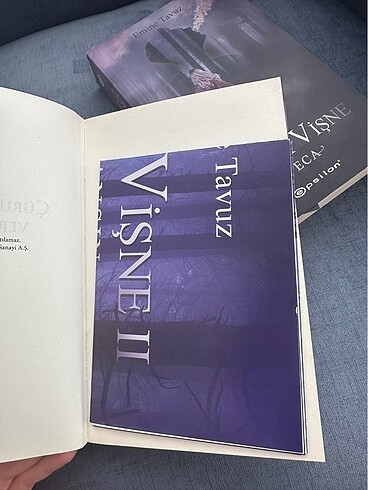 Çürük Vişne 1/2 - Görsel 3