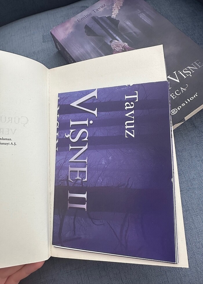 Çürük Vişne 1/2 - Görsel 3