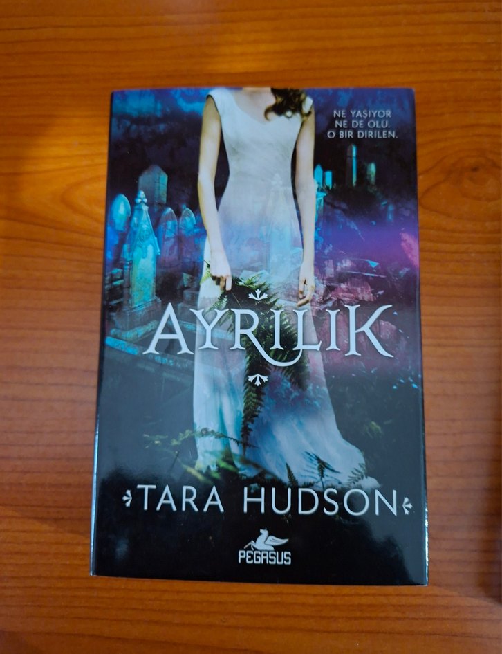 araf serisi - Görsel 4