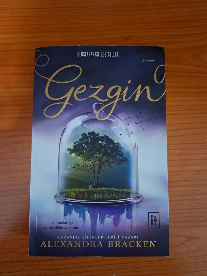 Alexandra Bracken'tan Yalnızca Yolcu ve Gezgin Romanları - Görsel 3