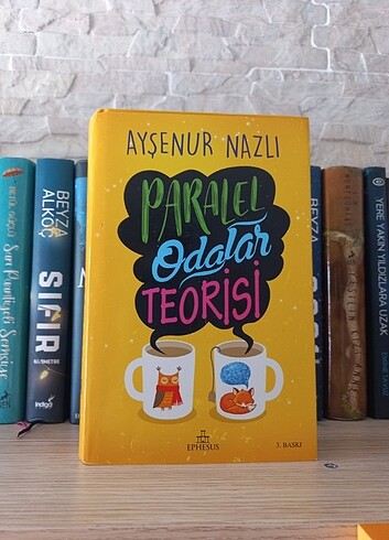 Paralel Odalar Teorisi 