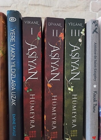 İmzalı Aşiyan Serisi