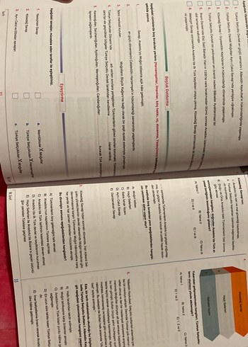 10. Sınıf Tarih Konu Anlatımı Kitabı - Görsel 6