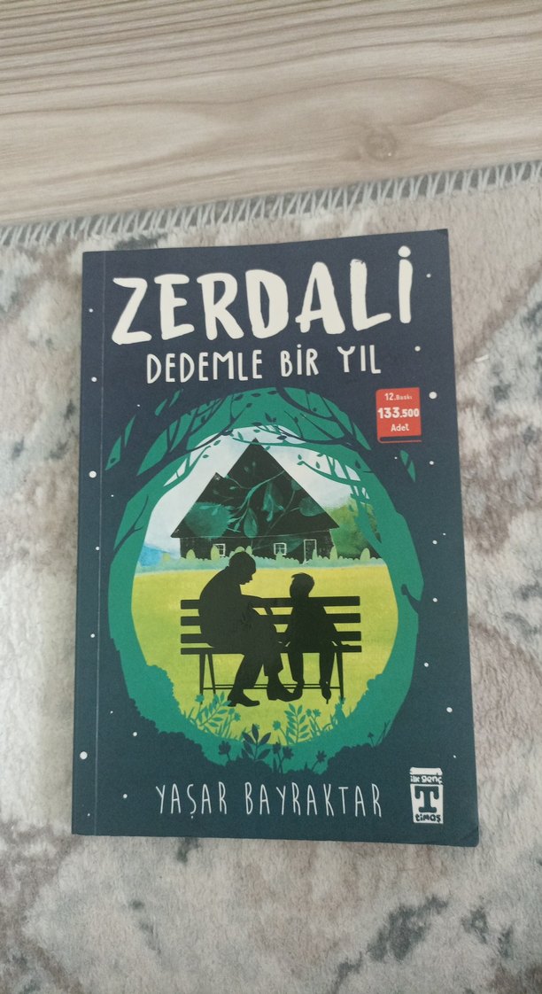 Zerdali - Dedemle Bir Yıl Romanı cumhuriyetin ilk sabahı kitabı - Görsel 2