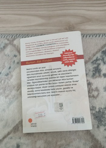 Bunun Adı Findel - Andrew Clements - Görsel 5