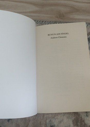 Bunun Adı Findel - Andrew Clements - Görsel 6