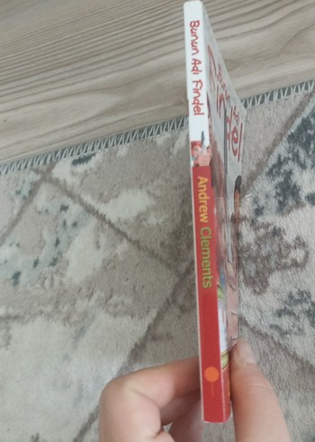 Bunun Adı Findel - Andrew Clements - Görsel 3