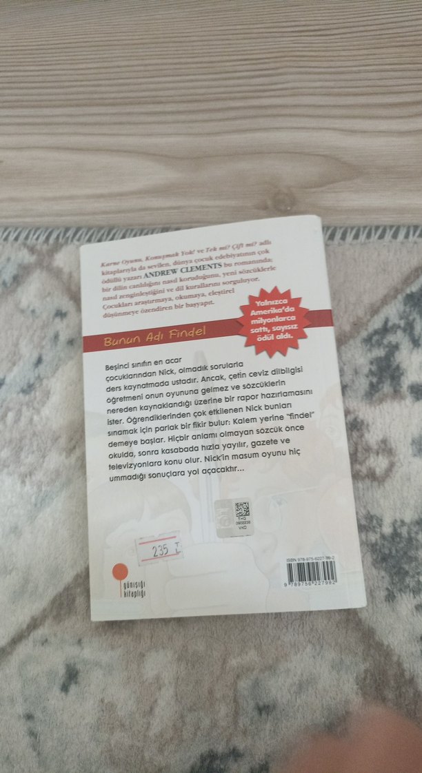 Bunun Adı Findel - Andrew Clements - Görsel 5