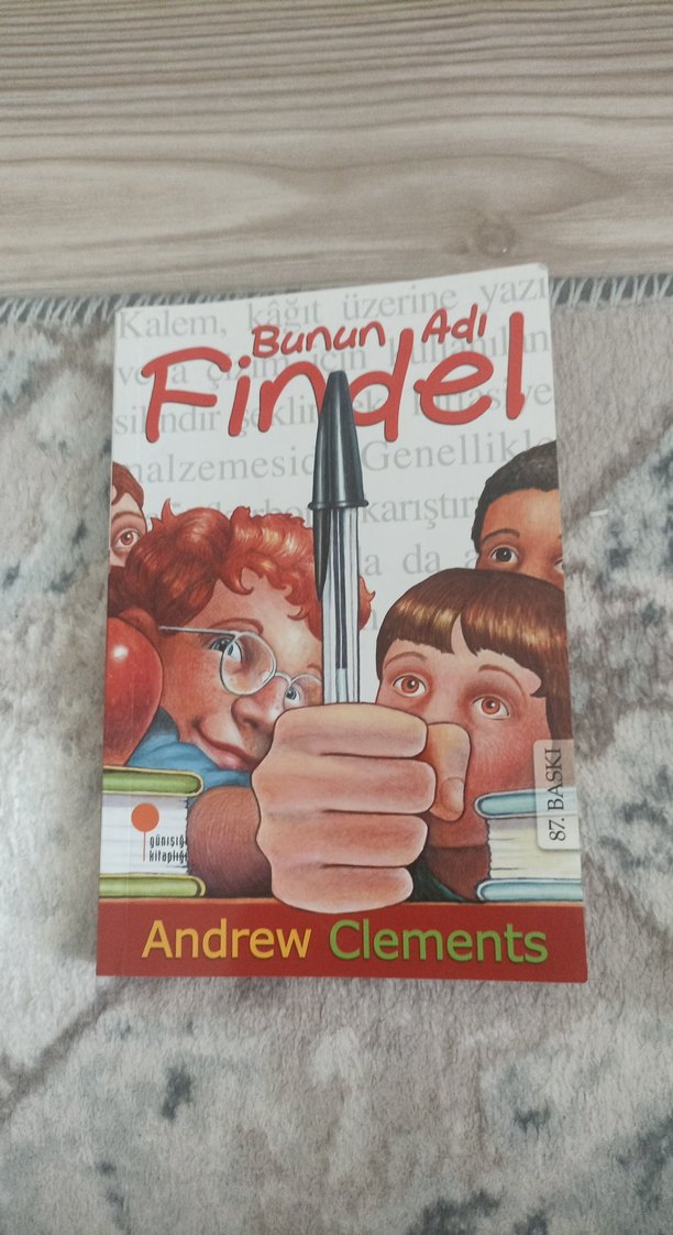 Bunun Adı Findel - Andrew Clements - Görsel 2