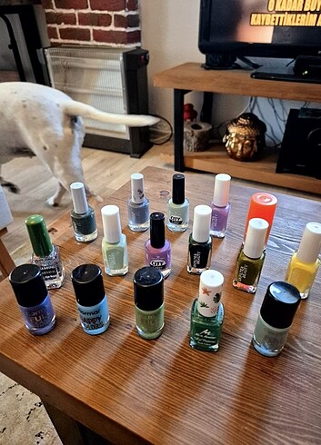 Renkli oje - Görsel 2