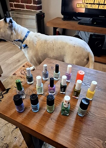 Renkli oje - Görsel 4