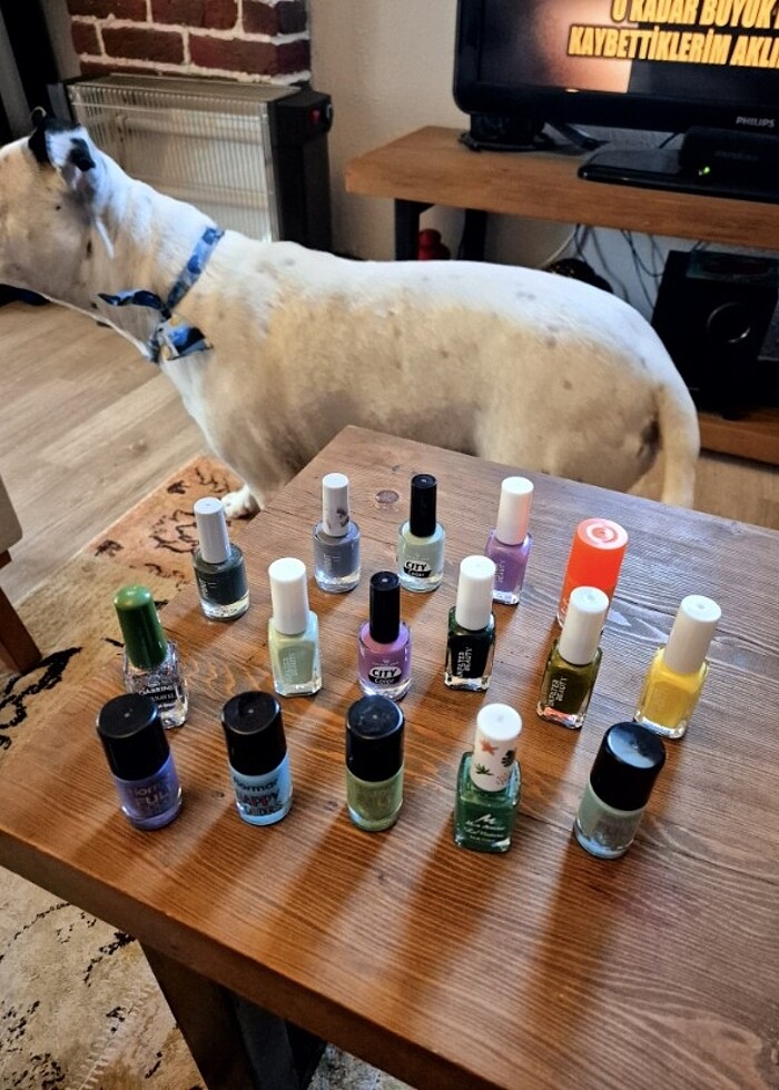 Renkli oje - Görsel 4