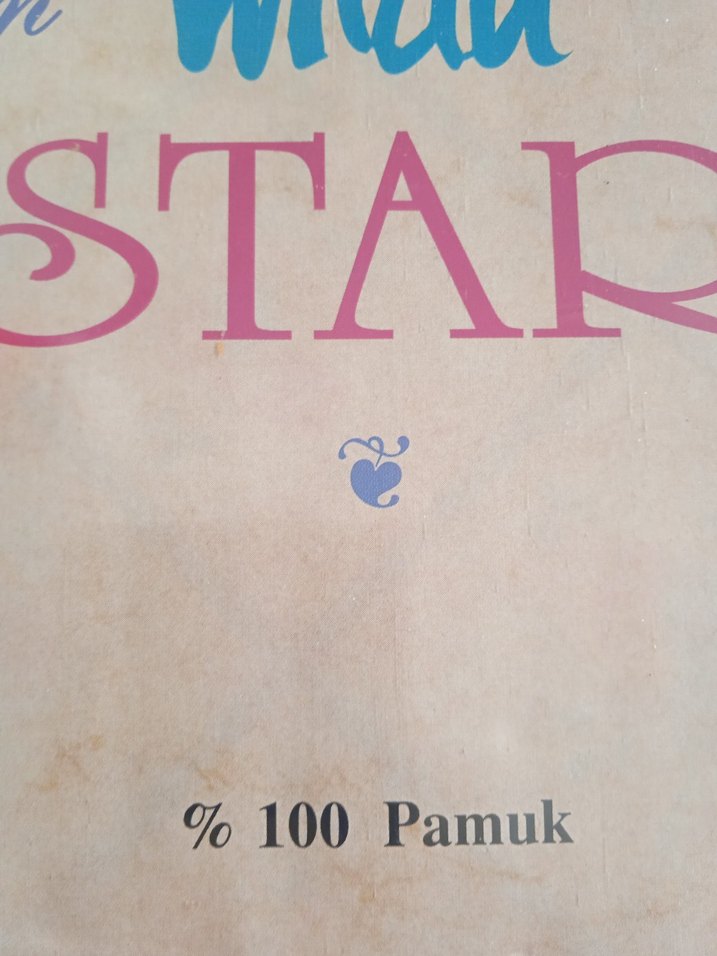 Linda Star Çarşaflı Nevresim Takımı - Görsel 3