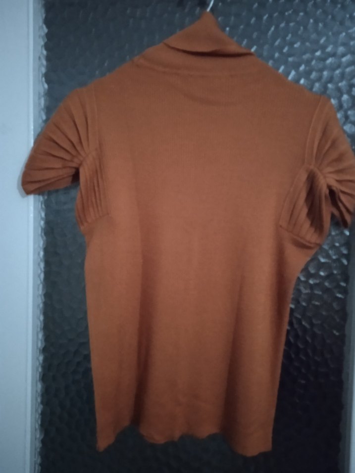 Kahverengi Kısa Kollu Boğazlı Kadın Kazak - Görsel 2