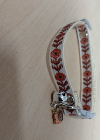 Bej Kedi Boyun Tasması Gri Detaylı - Görsel 2