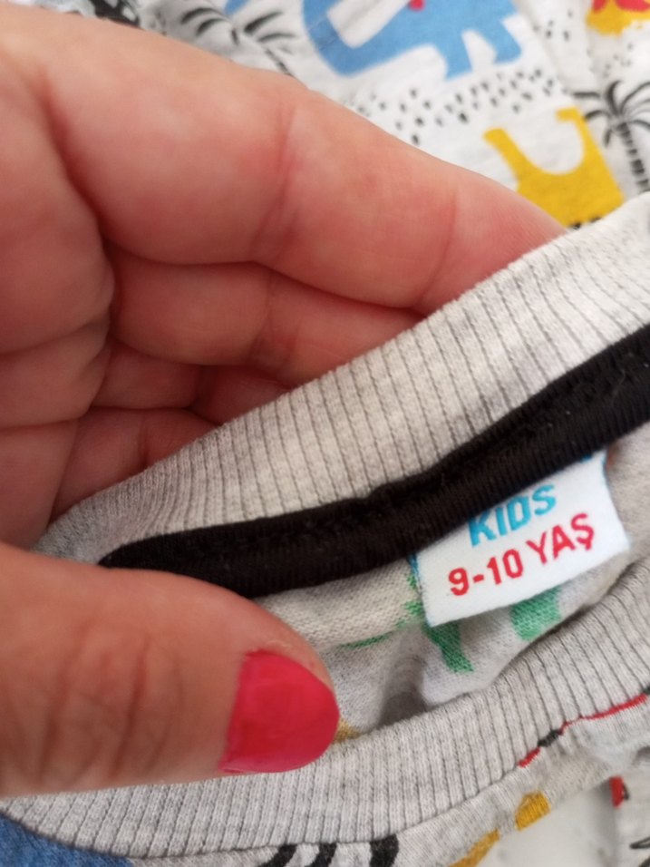 Renkli Dinozor Desenli Erkek Çocuk Şort Takımı - Görsel 4