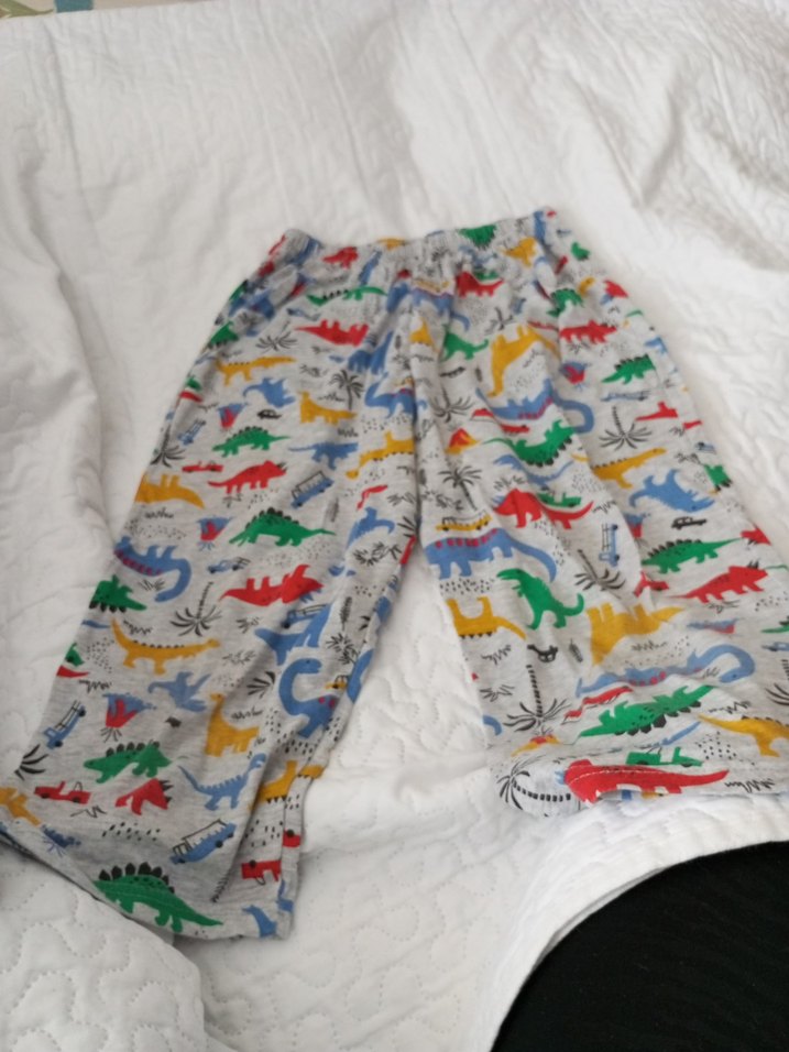 Renkli Dinozor Desenli Erkek Çocuk Şort Takımı - Görsel 3