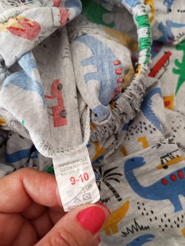 Renkli Dinozor Desenli Erkek Çocuk Şort Takımı - Görsel 5