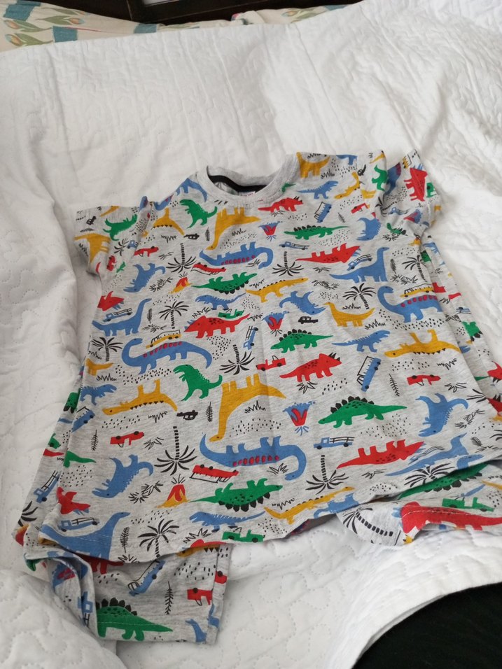 Renkli Dinozor Desenli Erkek Çocuk Şort Takımı - Görsel 2