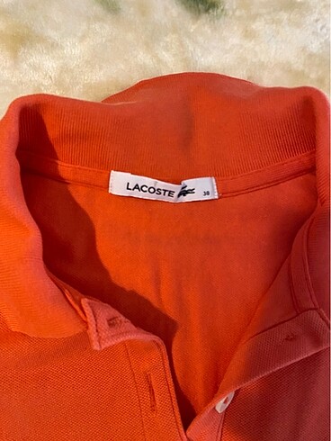 Lacoste Kadın Lacoste tshirt