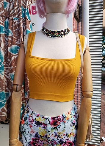 Dilvin marka hardal crop 