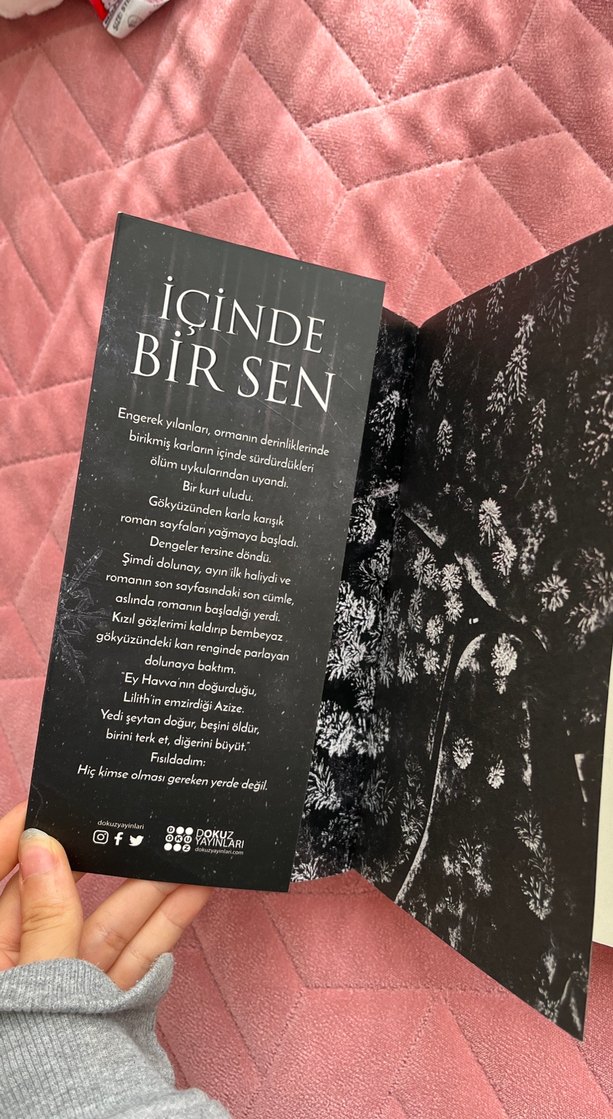 İçinde Bir Sen - Binnur Şafak Nigiz 3 Kitap - Görsel 3