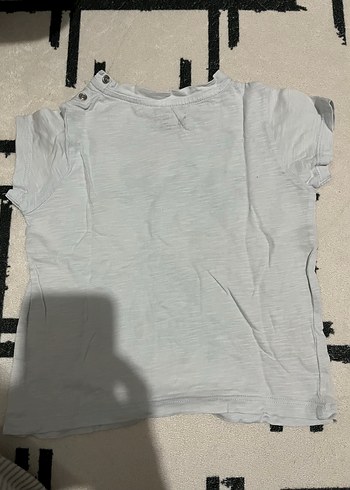 18-24 Ay Beden kırmızı Renk U.S. Polo Assn. Erkek Çocuk Kısa Kollu Tişört 2 li