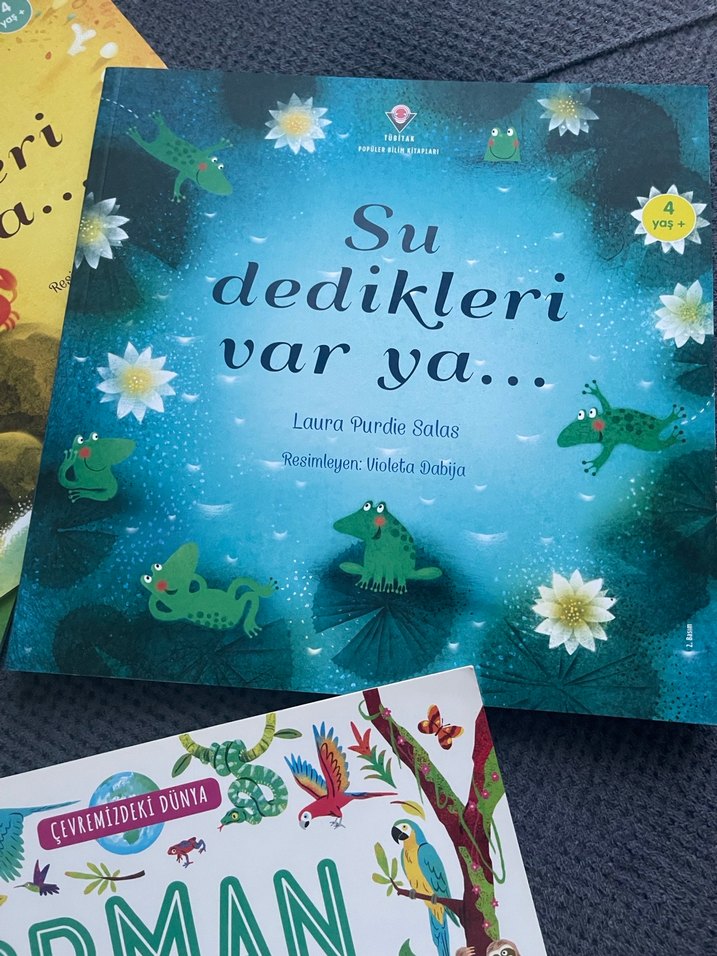 Çocuklar için Orman ve Doğa Temalı Kitaplar - Görsel 5