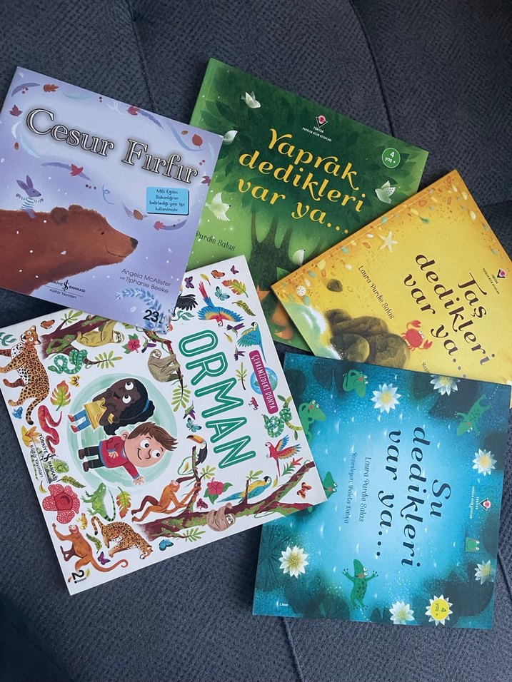 Çocuklar için Orman ve Doğa Temalı Kitaplar - Görsel 2