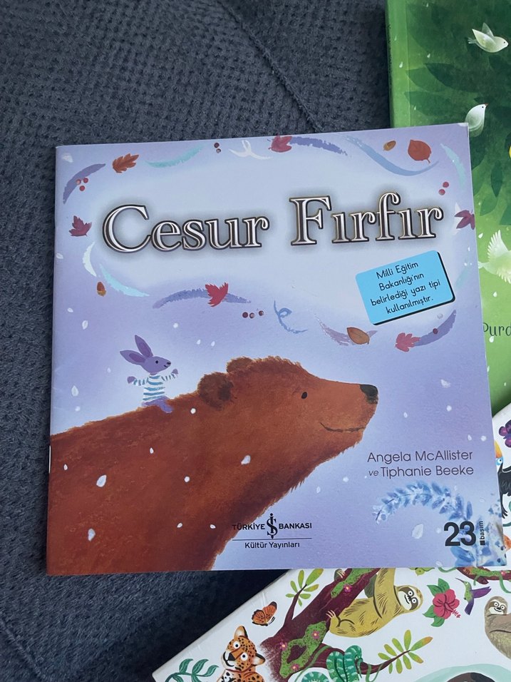 Çocuklar için Orman ve Doğa Temalı Kitaplar - Görsel 4