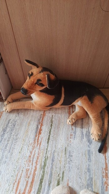 Bekçi Köpeği