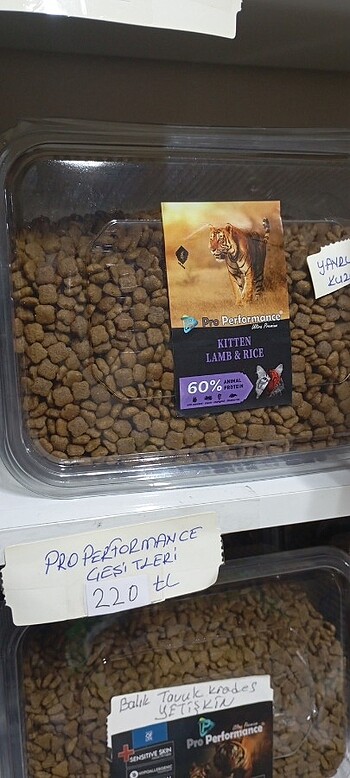  Properformans kedi maması