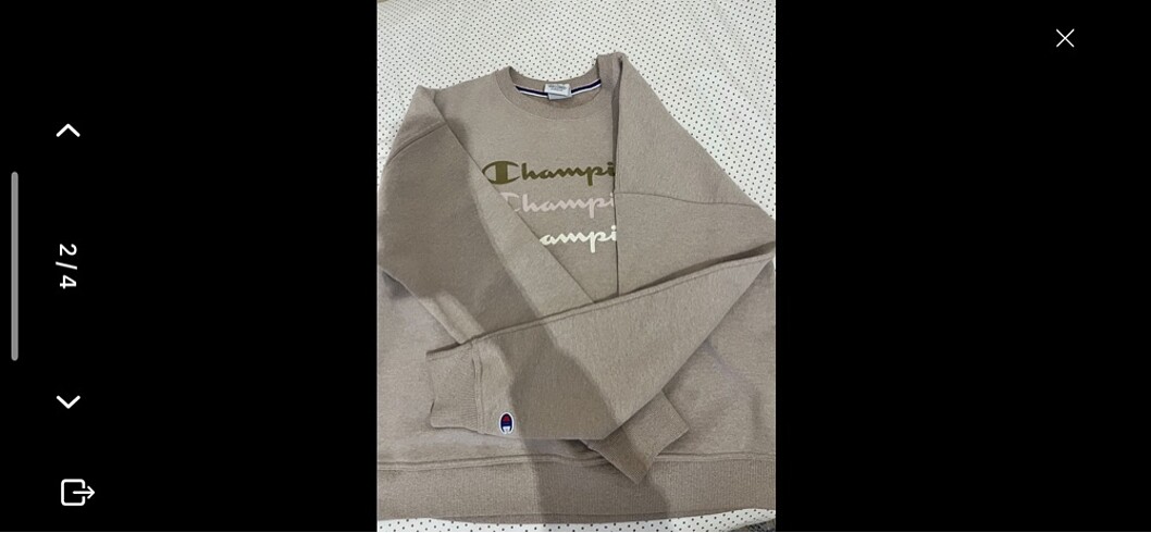 Champion sweatshirt