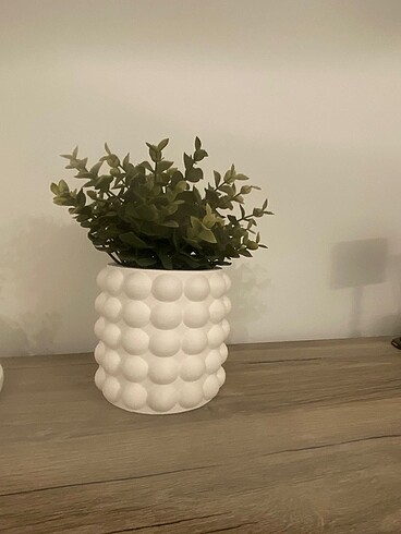 Baloncuk desenli dekoratif saksı