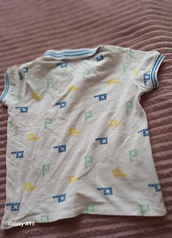 Us poloda - Görsel 2