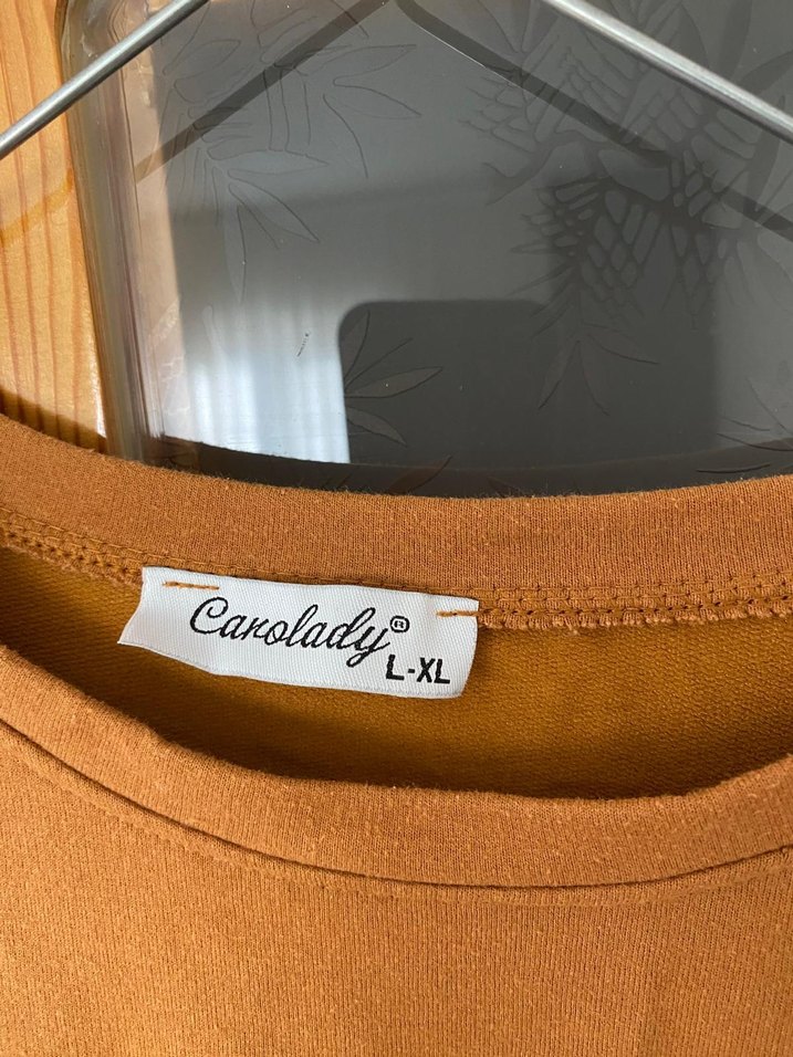 Kadın Kahverengi Süet Sweatshirt - Görsel 4