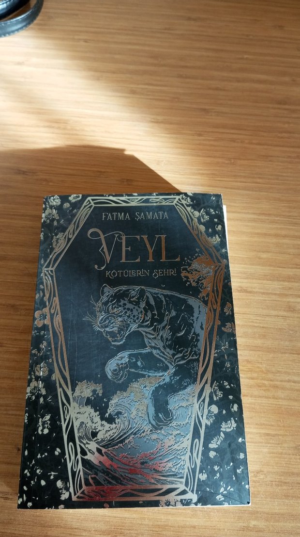 Veyl - Kötülerin Şehri Romanı - Görsel 2