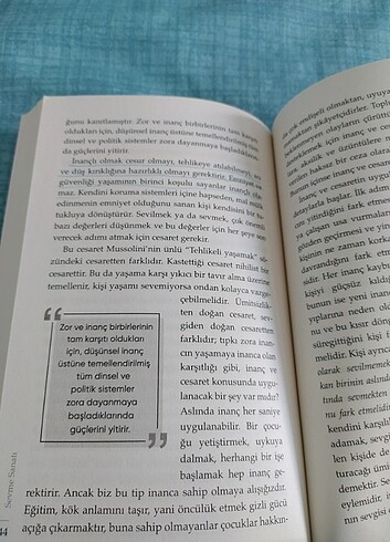 Sevme sanatı