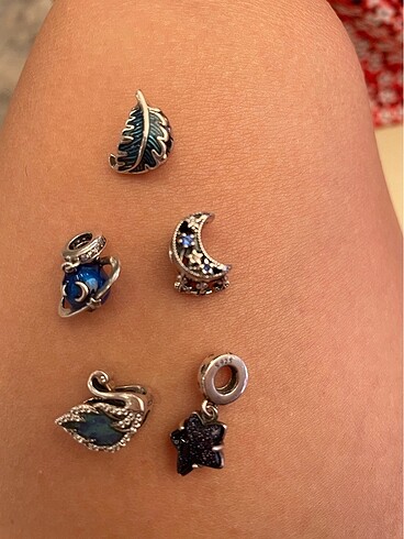 Diğer Gümüş pandora charm