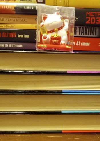 Nalini Singh - Meleklerin Kanı - Başmeleğin Öpücüğü-4 kitap set