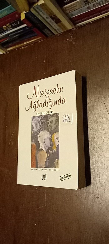 NIETZSCHE AĞLADIĞINDA 