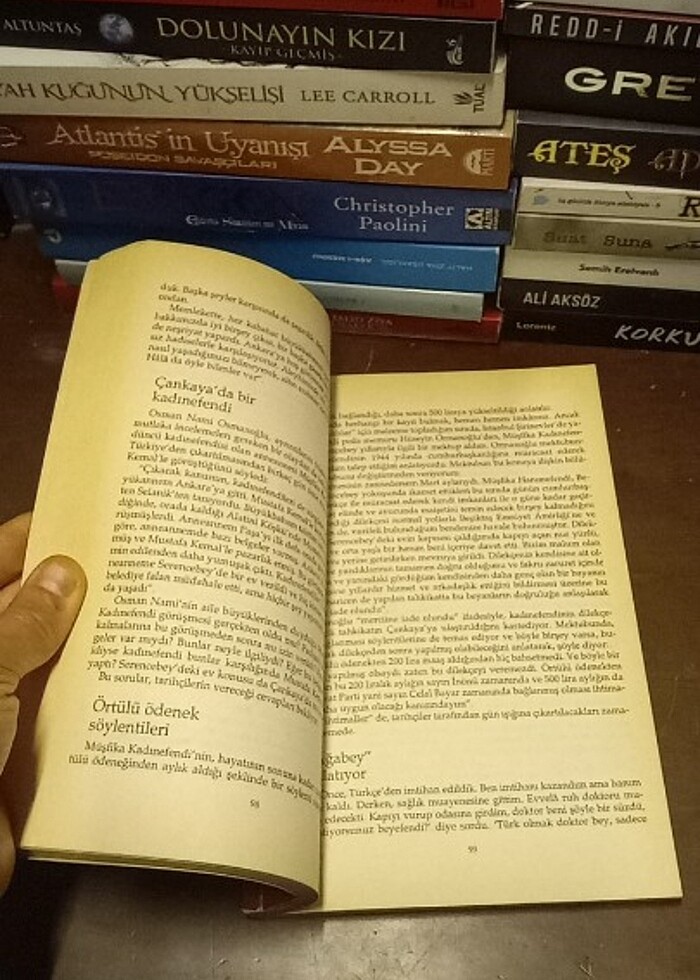 SON OSMANLILAR - OSMANLI HANEDANIN SÜRGÜN ÖYKÜSÜ / MURAT BARDAKÇ - Görsel 3